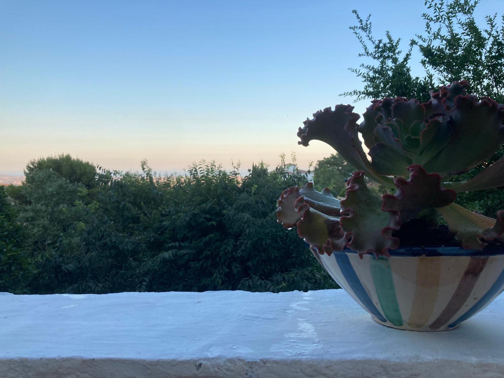 Bédar Cortijo De La Fuente Con Vistas Impresionantes Y Playas A 20 Minutos 빌라 외부 사진