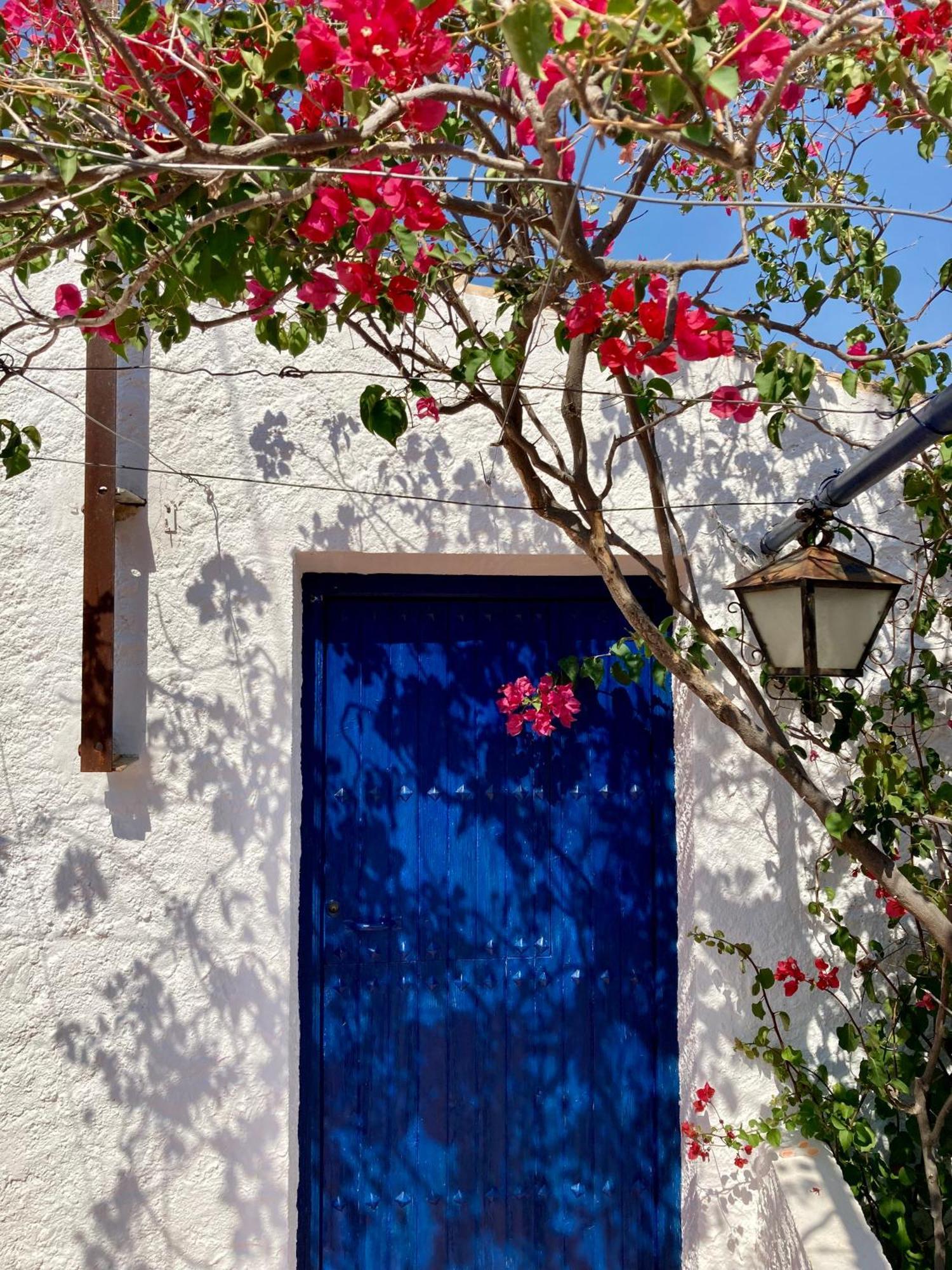 Bédar Cortijo De La Fuente Con Vistas Impresionantes Y Playas A 20 Minutos 빌라 외부 사진