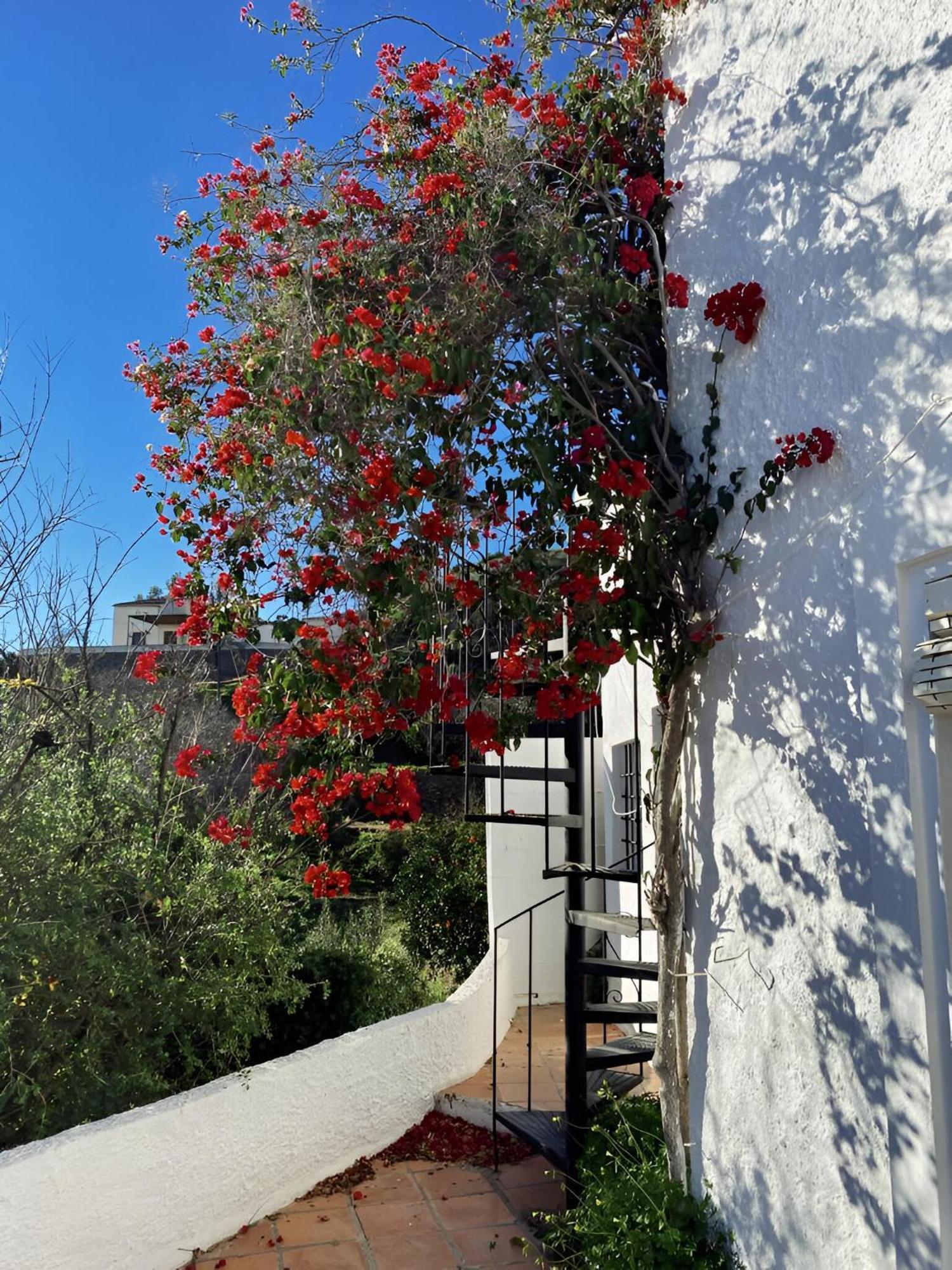 Bédar Cortijo De La Fuente Con Vistas Impresionantes Y Playas A 20 Minutos 빌라 외부 사진